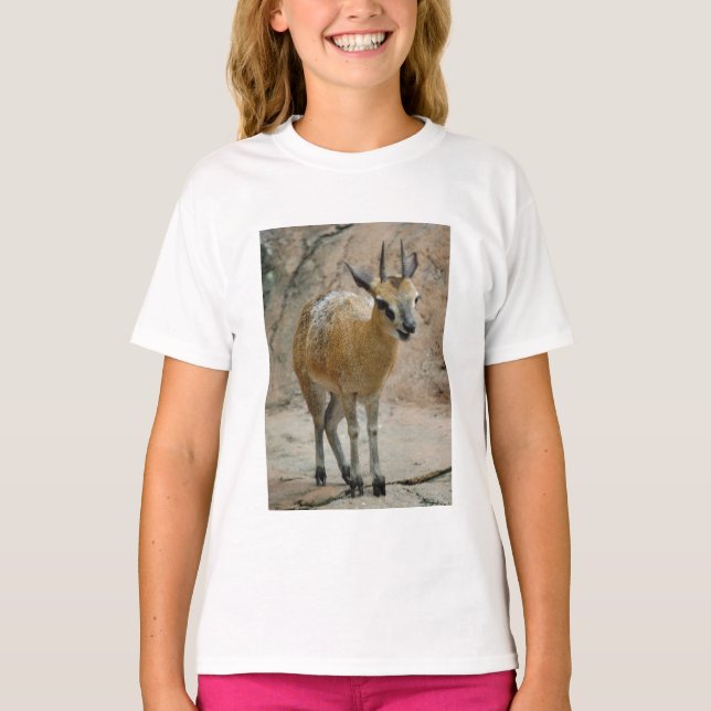 T-shirt Chèvres sauvages (Devant)