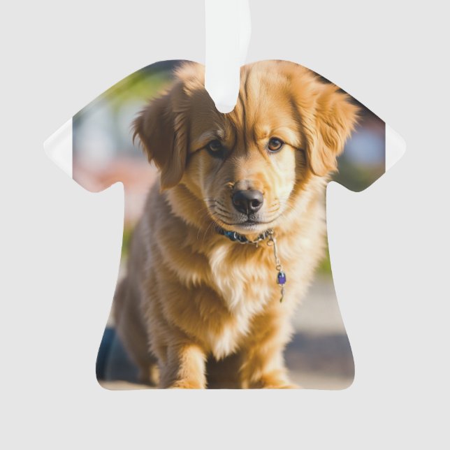 t-shirt chien (devant)