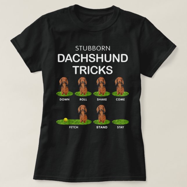 T-shirt Chien à grosse tête - Drôle de Dachshund à poils l (Design devant)