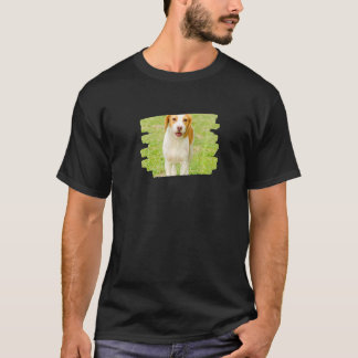 T-shirt Chien à tête courte d'Istrie