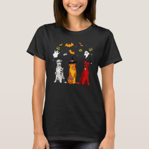 T-shirt Chien Border Collie