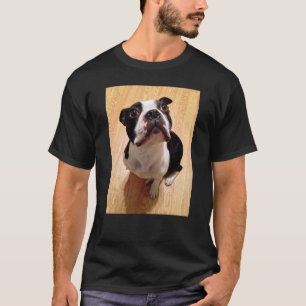 T-shirt Chien de Boston Terrier