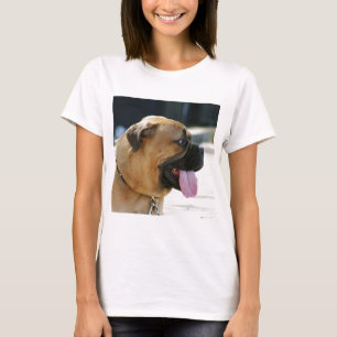 T-shirt Chien de Bullmastiff