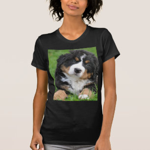 T-shirt Chien de montagne de Bernese