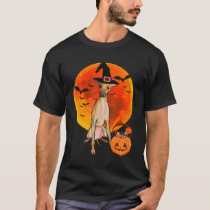 T-shirt chien halloween italien greyhound jack o lanterne 
