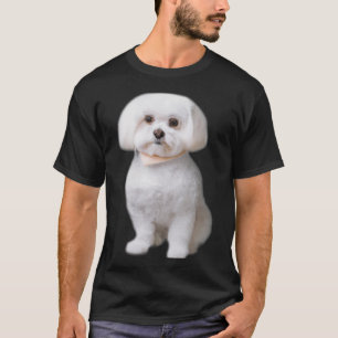 T-shirt Chien maltais
