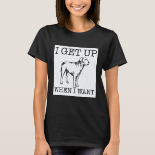 T-shirt Chien Retriever du Labrador