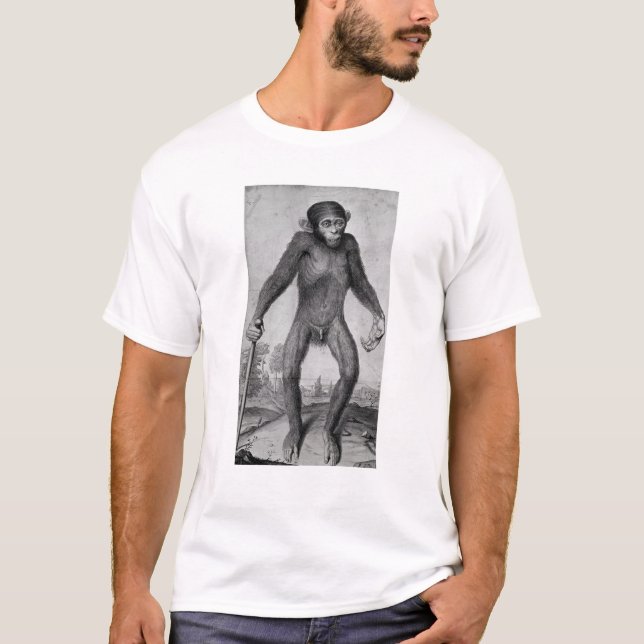 T-shirt Chimpanzé, 1699 (Devant)