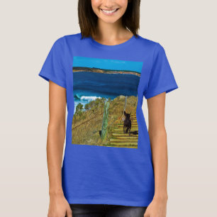 T-shirt chinois en peluche Chien de Chien de Vapeu