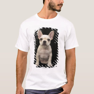 T-shirt Chiot crème de bouledogue français
