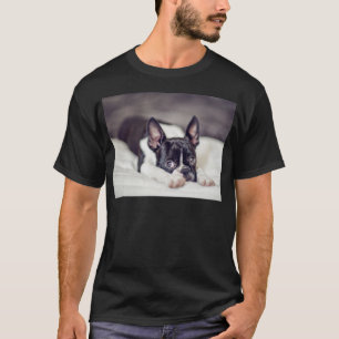 T-shirt Chiot de Boston Terrier