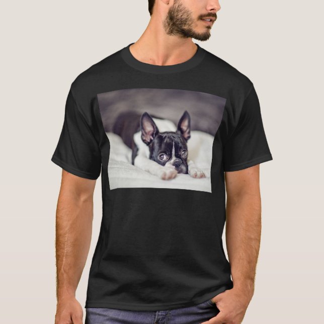 T-shirt Chiot de Boston Terrier (Devant)