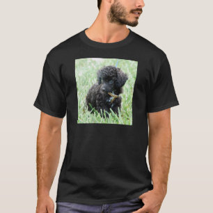 T-shirt Chiot de caniche de jouet