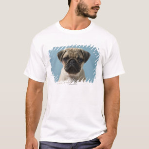 T-shirt Chiot de carlin