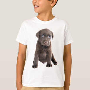 T-shirt Chiot de laboratoire de chocolat