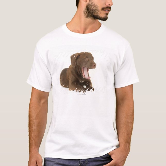 T-shirt Chiot de quatre mois de laboratoire de chocolat (Devant)