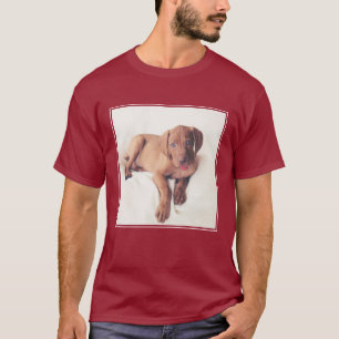 T-shirt Chiot de Vizsla de Hongrois