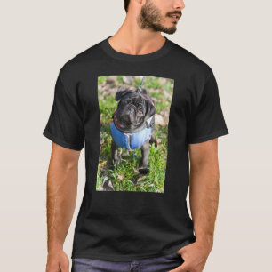 T-shirt Chiot noir de carlin utilisant une veste