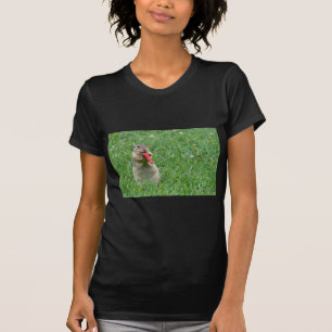 T-shirt Chipmunk.JPG