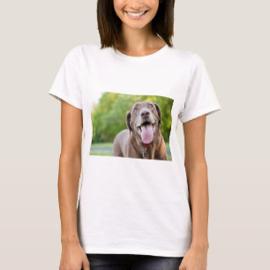 T-shirt Chocolat Labrador Chien
