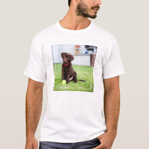 T-shirt Chocolat Labrador Puppy Avec Tennis Ball