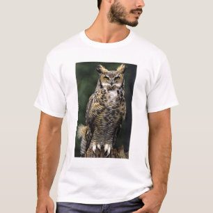 T-shirt Chouette à cornes (Bubo virginianus), corps comple