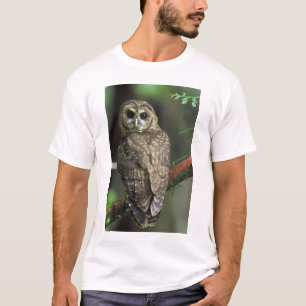 T-shirt Chouette tachetée du Nord - Strix occidentalis ca