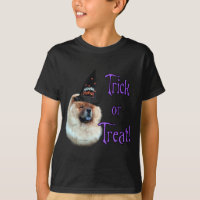 Chow Chow Trick