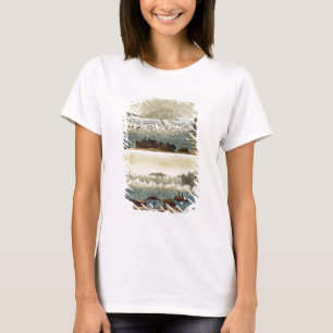 T-shirt Chutes du Niagara, 1818 (gravure de couleur)