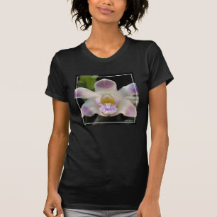 T-shirt Chysis Violacea