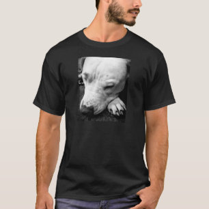 T-shirt cicatrice de harry potter chien pit bull blanc