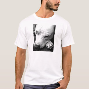 T-shirt cicatrice de harry potter chien pit bull blanc