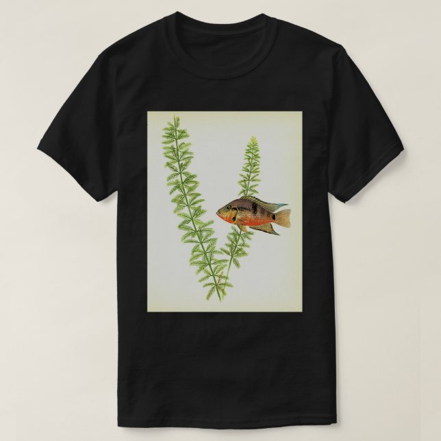 T-shirt Cichlid de Firemouth Thorichthys meeki (Design devant)