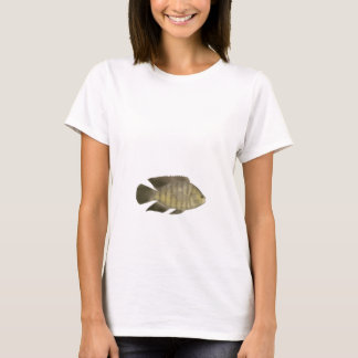 T-shirt Cichlidé caméléon