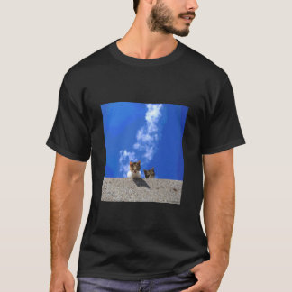 T-shirt ciel bleu et chat_001