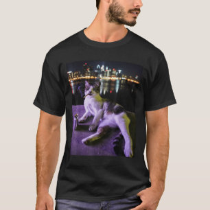 T-shirt Cigarette Kitten Drôle Fumer Chat Mème Bra Stupide