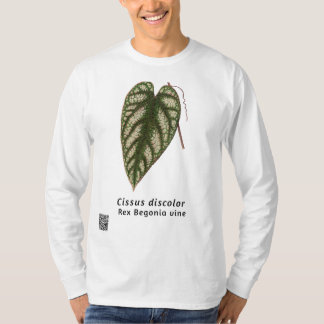 T-shirt Cissus discolor