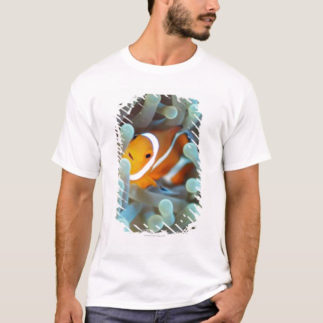 T-shirt Clown Anemonefish (Devant)