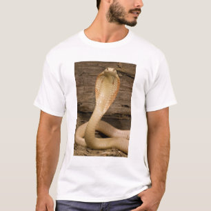 T-shirt Cobra à monocle albinos, Naja kaouthia, enroulé