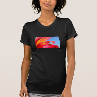 T-shirt Coccinelle sur la pièce en t rose