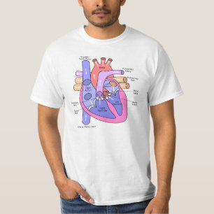 T-shirt Coeur humain