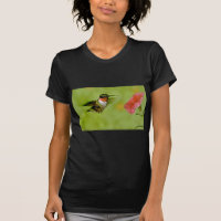 colibri Rubis-throated (mâle) avec le rose de