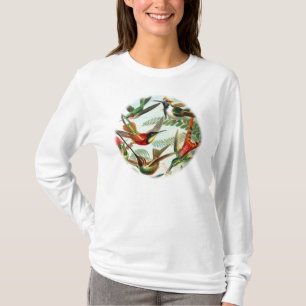 T-shirt Colibris par Ernst Haeckel (2)
