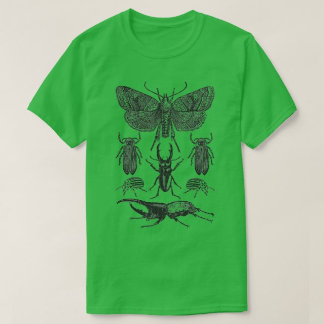 T-shirt Collection de bugs d'insectes Chemise Moth Stag Be (Design devant)
