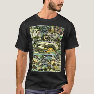 T-shirt Collection de reptiles Graphique Tortues Espèces d