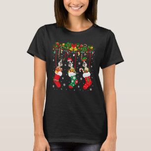 T-shirt Collie Frontière Dans Le Sock Xmas Reindeer Chien