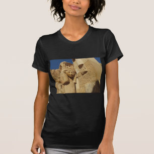 T-shirt Colonne de Hathor - temple de la Reine Hatshepsut,