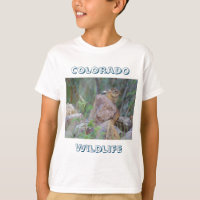 Colorado Wildlife : Chipmunk