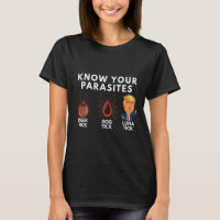 Connaissez Vos Parasites Deer Tick Dog Tick Luna T