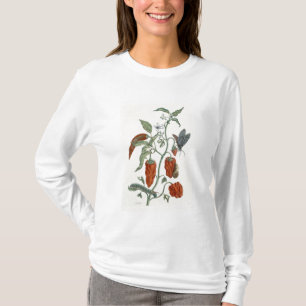 T-shirt Consoude, "d'un de fines herbes curieux", 1782